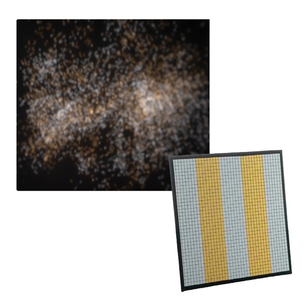 dedolight(デドライト) EFLECT 20x20cm マルチミラー 細目(シルバー/ゴールド・ゼブラ) DEFRB-MZSG1 265238